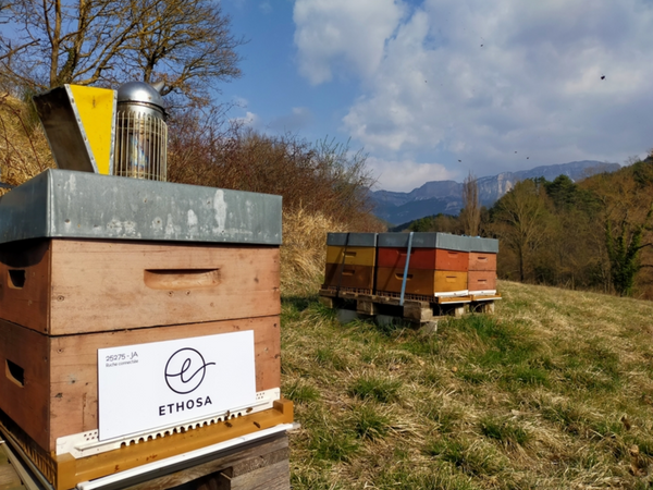 Why did ETHOSA decide to sponsor beehives at “Un Toit pour les Abeilles”?